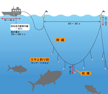 道後温泉　ホテル総料理長